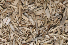 biomass boilers Chedzoy